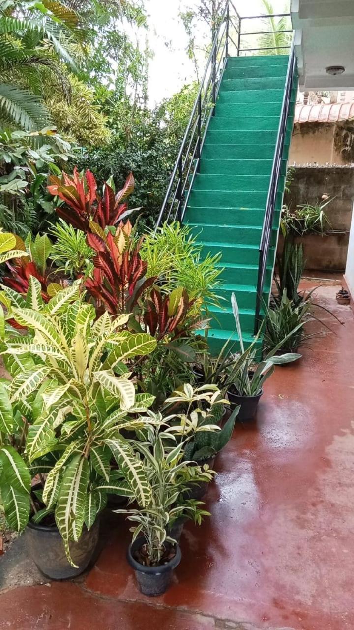 Dana Guest Home Mirissa Exterior foto